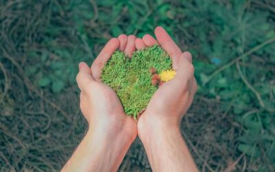 Beratung bei Beziehungsproblemen: Warum Schwierigkeiten als Chance und Anfang von etwas Neuem sein kann